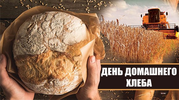 День домашнего хлеба