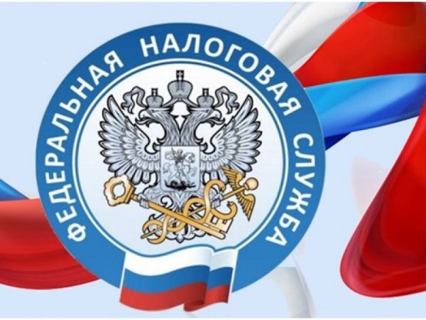 День работников налоговых органов РФ