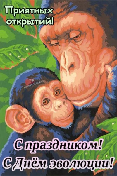 24 Ноября праздник эволюции