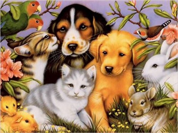 Картинки на Всемирный день домашних животных (48 фото)