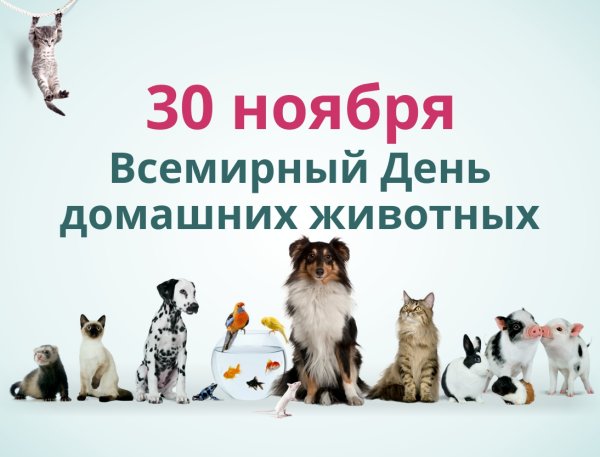 30 Ноября день домашних животных и книги