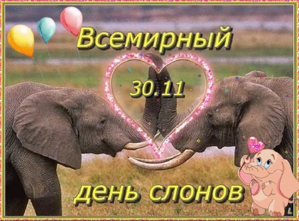 День слонов