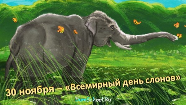 Всемирный день слонов 30 ноября картинки с надписями