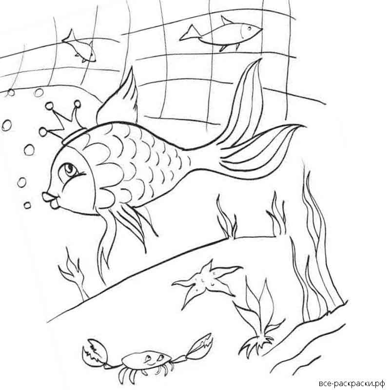 Раскраска золотая рыбка из сказки распечатать