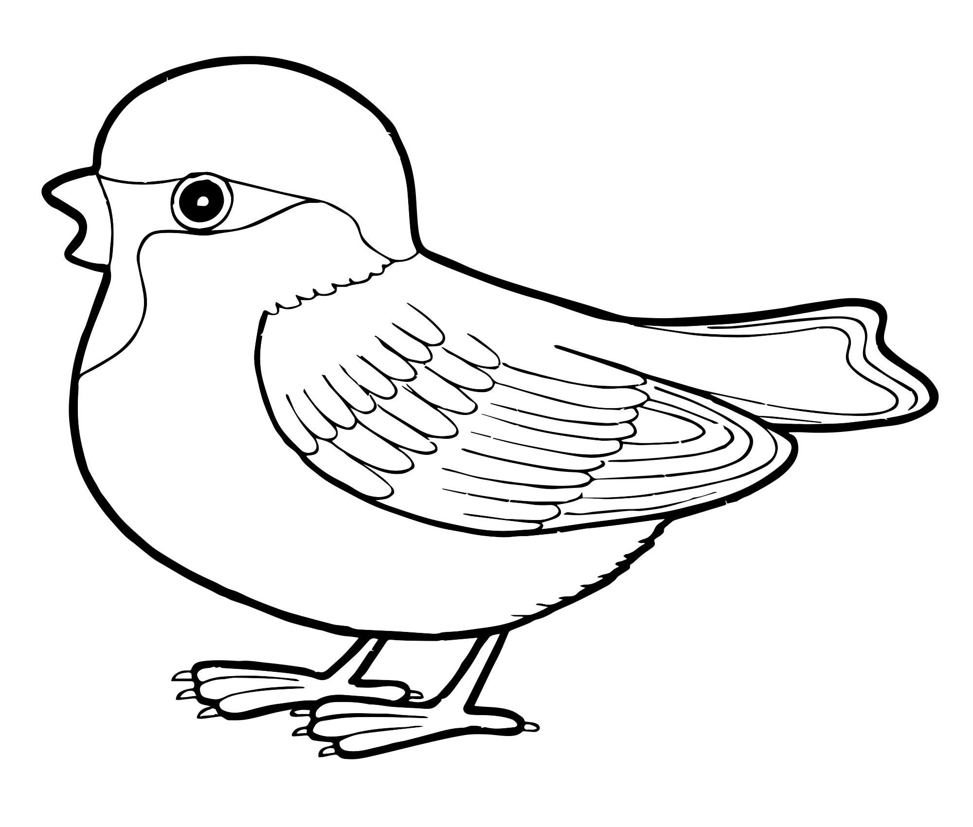 Раскраски «Птицы» для детей 6-7 лет