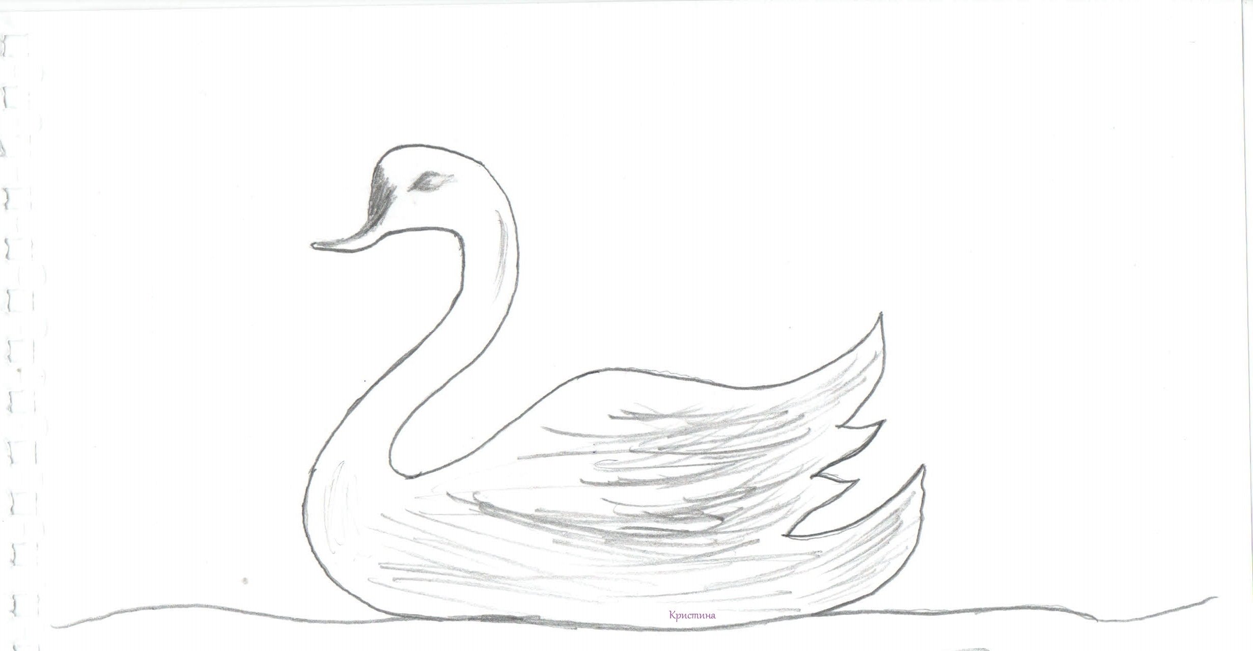Легкий рисунок гуси лебеди 57 фото