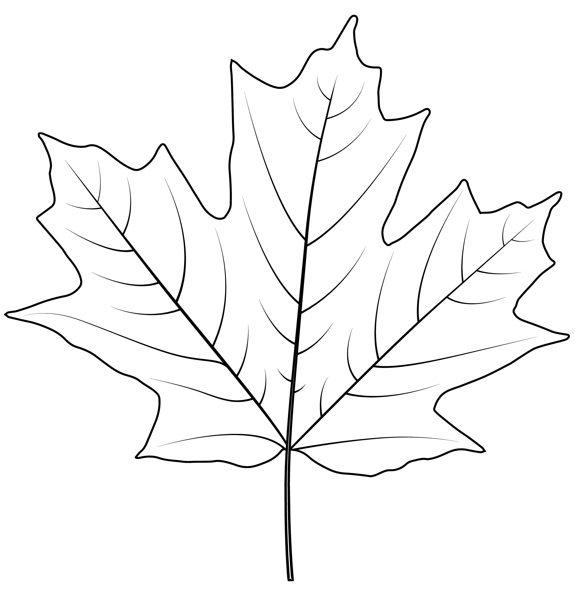 Черно белые картинки листьев. Кленовый лист раскраска для детей. Листочки клена раскраска. Кленовый листик раскраска. Листья рисунок.