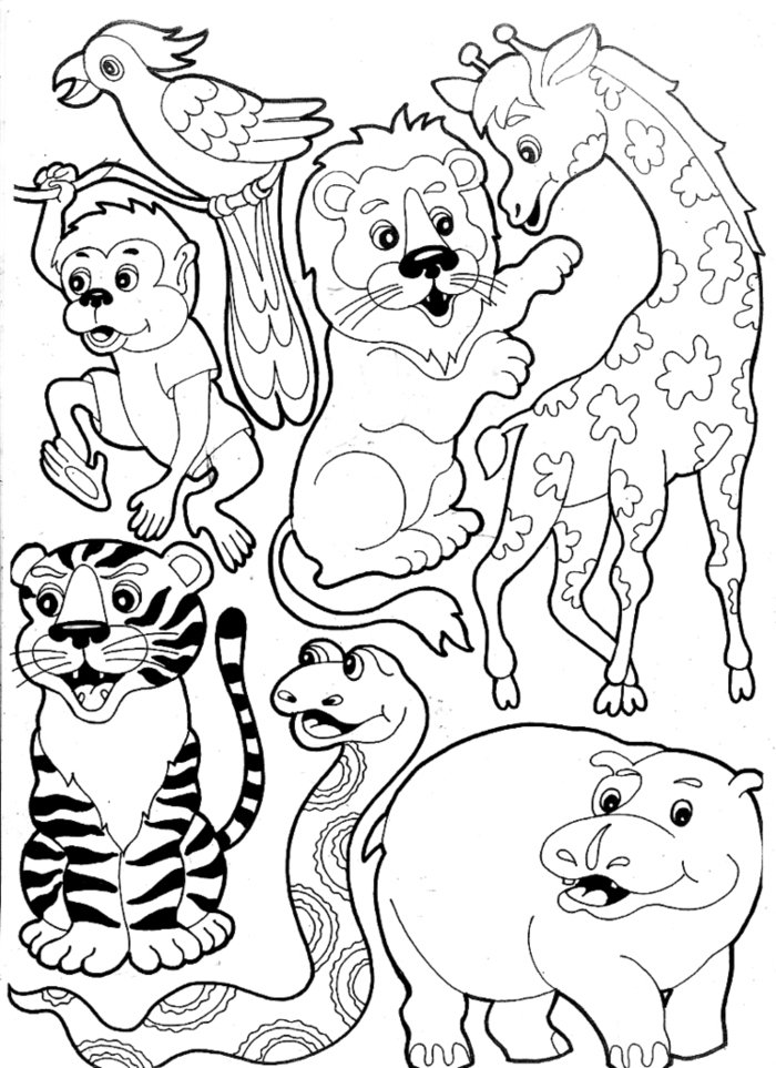Животные группами раскраски. Раскраски. Животные. Зоопарк раскраска для детей. Раскраски животных зоопарка для детей. Звери в зоопарке рисунки.
