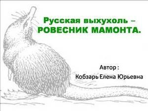 Выхухоль раскраска