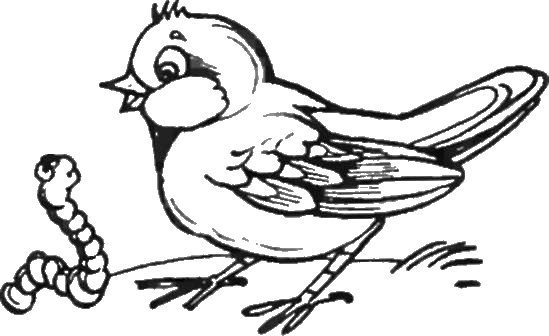 Воробей рисунок для детей раскраска