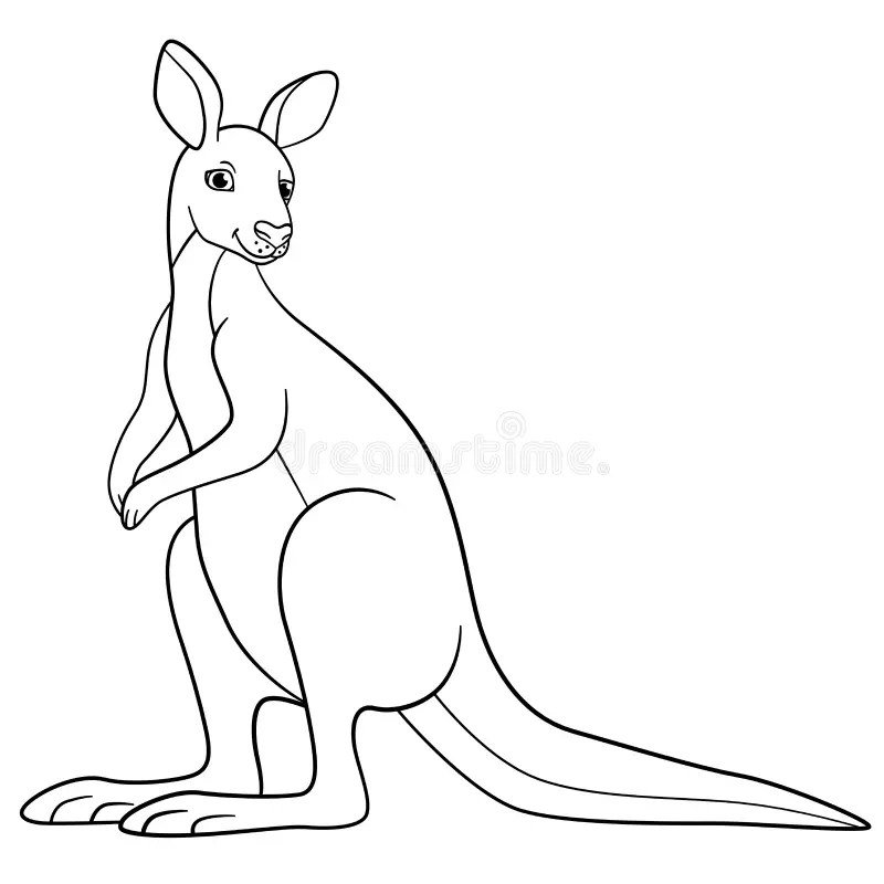 Раскраски и Рисунки кенгуру для рисования