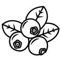 Черника контур
