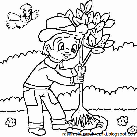 Раскраски по экологии