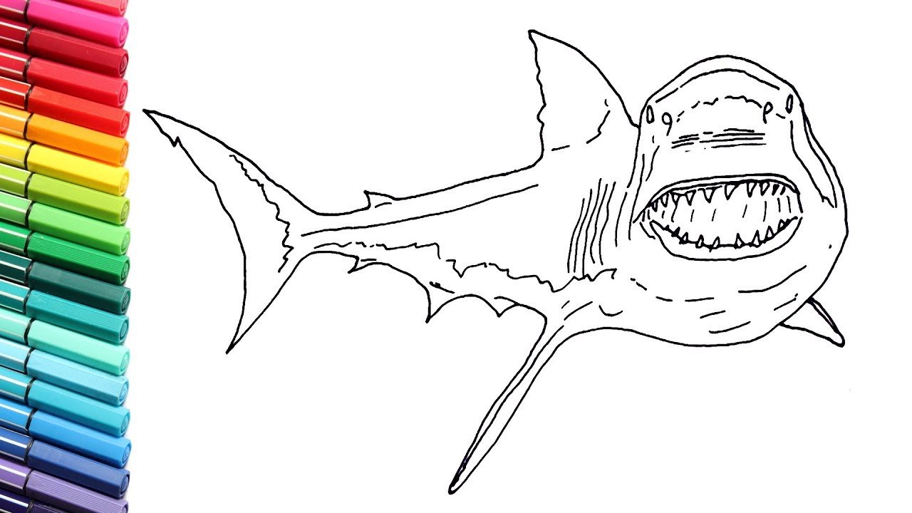 Детеныш акулы: Раскраска