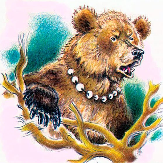 Картинки раскраски дремучий медведь (55 фото)