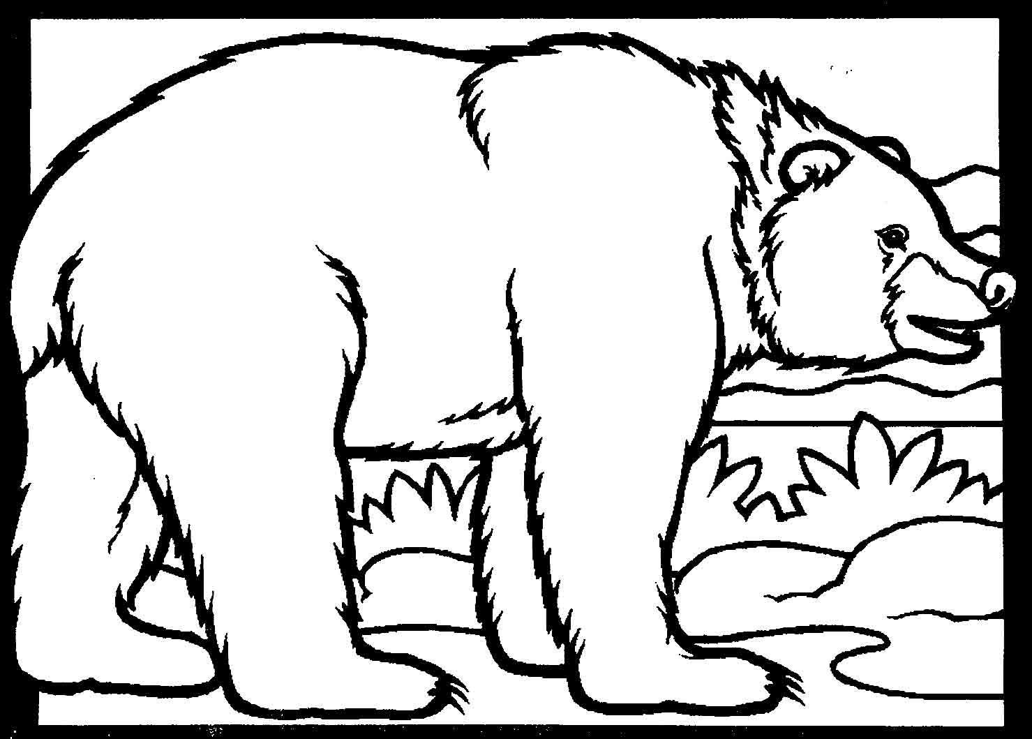 Медведи раскраска игра. Медведь раскраска. Медведь раскраска для детей. Бурый медведь раскраска. Картинки для раскрашивания медведь.