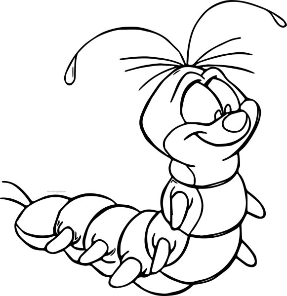 Гусеница раскраска для детей