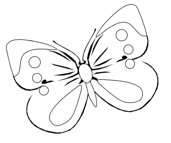 Картинки раскраски бабочка (52 фото)