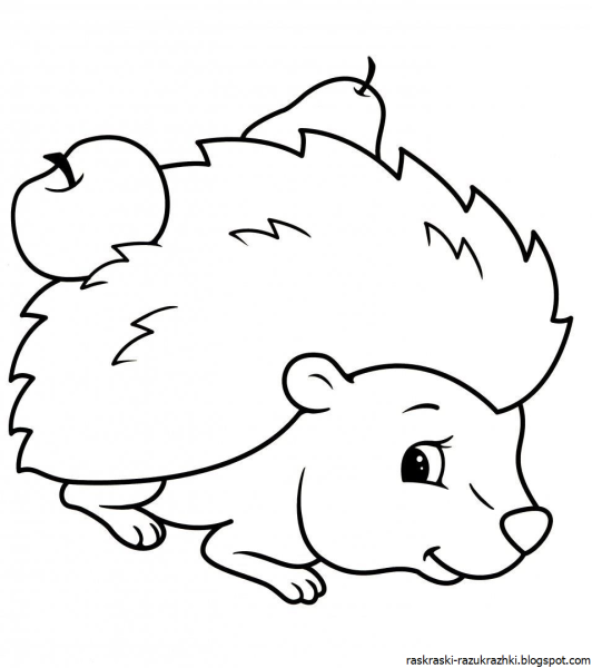 Раскраска Ёжик
