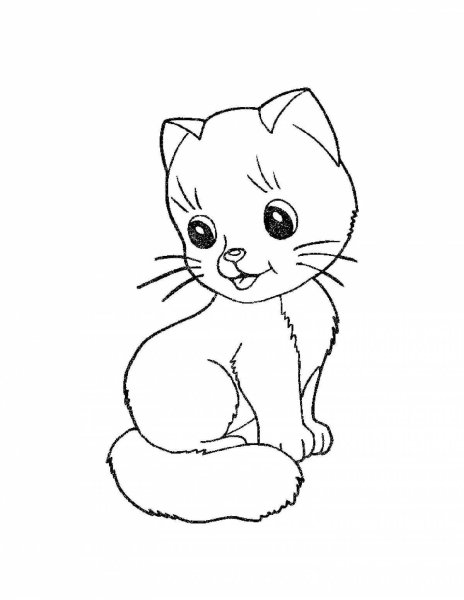 Кошка раскраска для детей