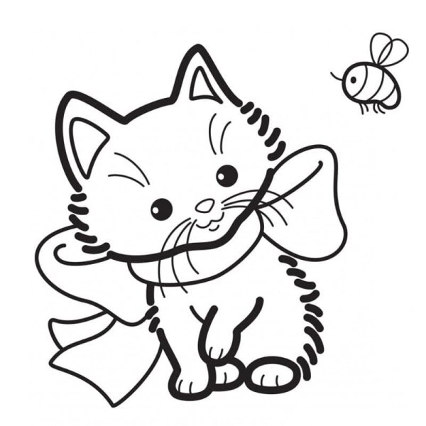 Котенок. Раскраска