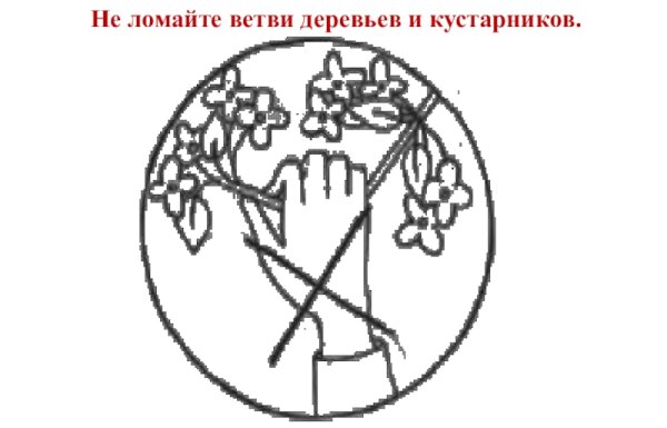 Знак не ломать деревья