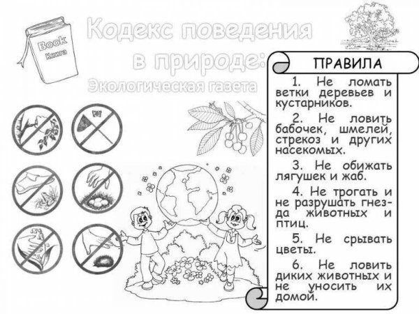 Раскраска охрана природы