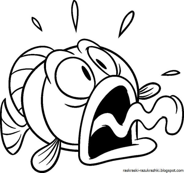 Раскраски приколдесные