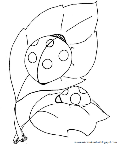 Божья коровка раскраска для детей