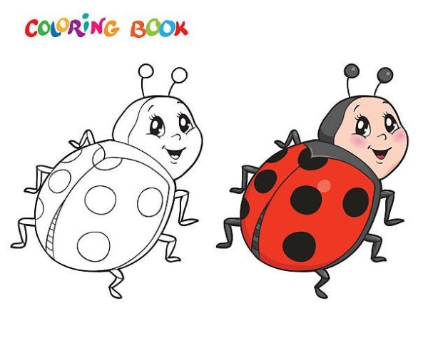 Раскраска Божья коровка без точек