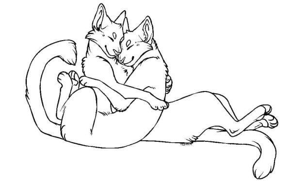 Коты Воители раскраска