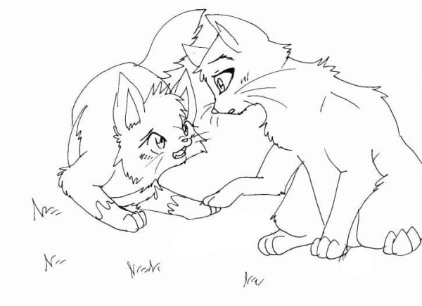 Лайн коты Воители сестры