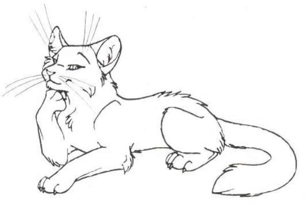 Лайн коты Воители набросок