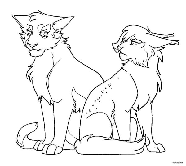 Лайны коты Воители враги