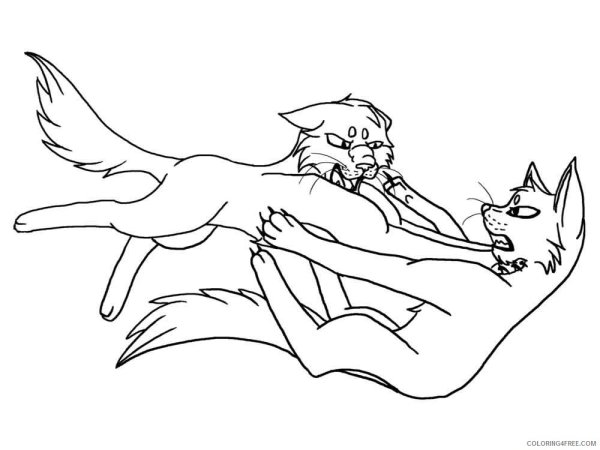 Коты Воители драка лайн