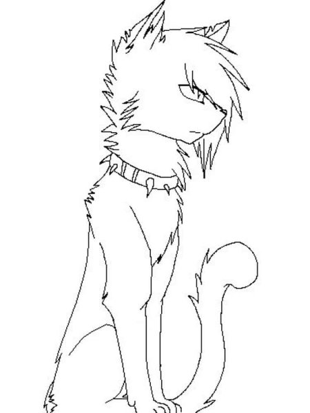 Коты Воители Бич для срисовки