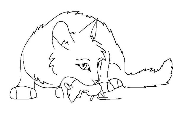 Коты Воители лайны охота