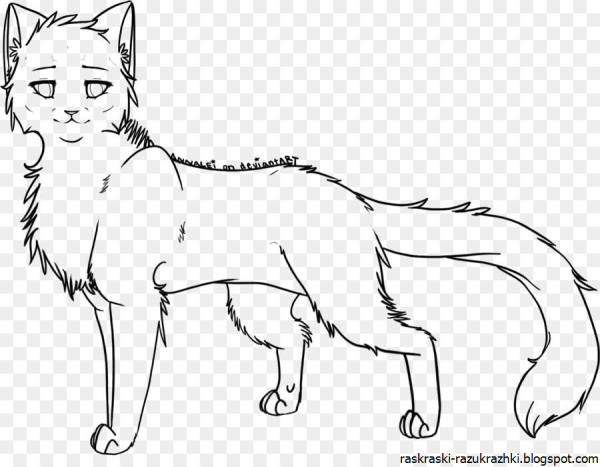 Коты Воители контур