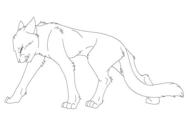 Коты Воители лайны лежит