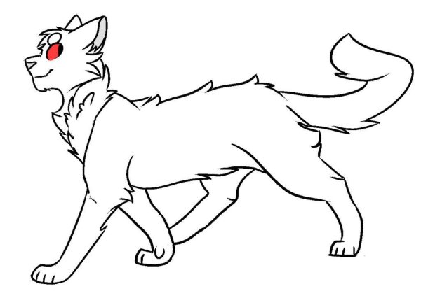 Лайн коты Воители сбоку