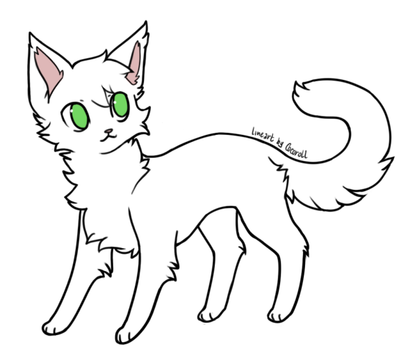 Лайны коты Воители адопты