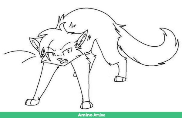 Коты Воители злая кошка лайн