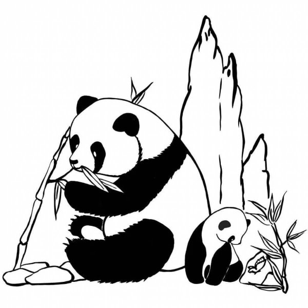 Картинки раскраски панда (53 фото)