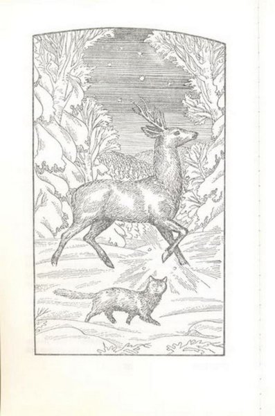 Раскраски к сказке Бажова серебряное копытце