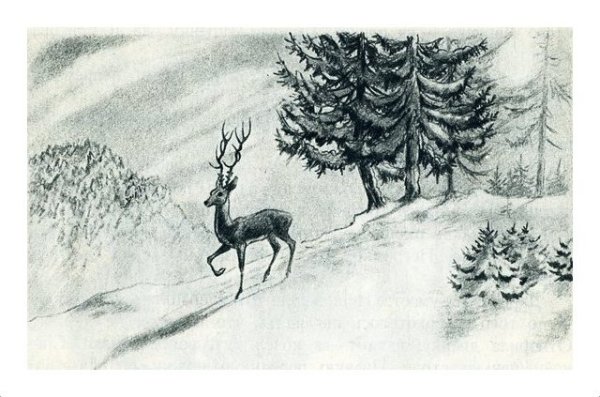 Раскраски по сказкам Бажова серебряное копытце