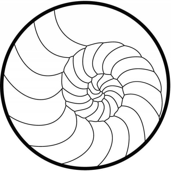 Картинки раскраски спираль по кругу (53 фото)