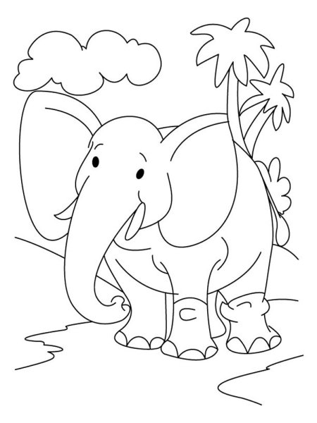 Картинки раскраски слон (55 фото)