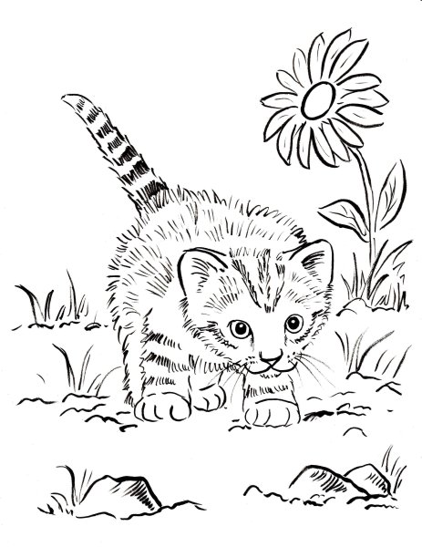 Раскраска кошка с котятами