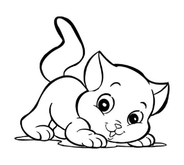 Котенок раскраска для малышей