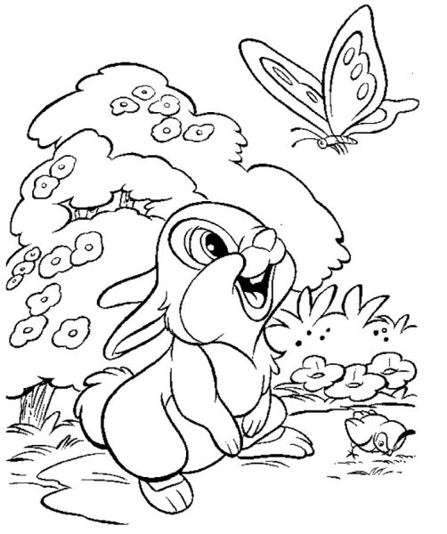 Рисунки для разукрашивания